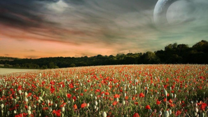 前端怎么实现预览pdf文件？